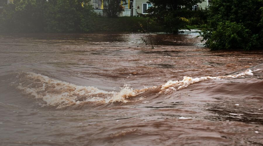 Why choose RenewGenix for water damage restoration in Leominster